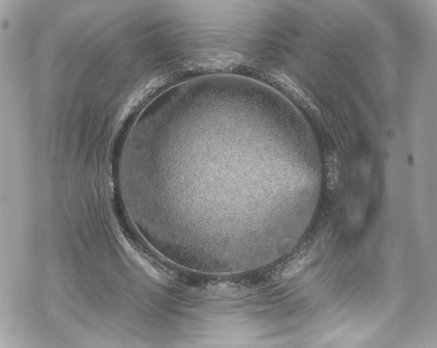 X0000070410634200606161412