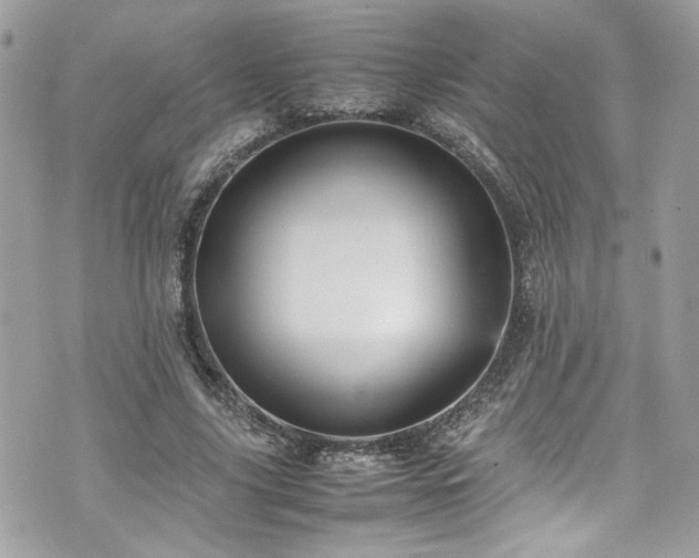 X0000070410635200606161412