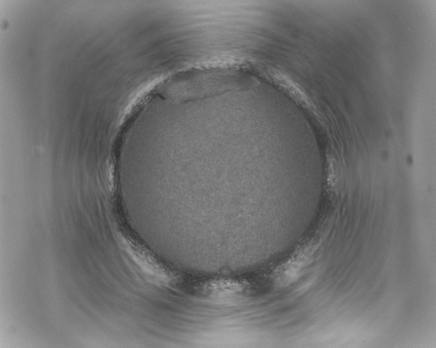 X0000070410636200606161412