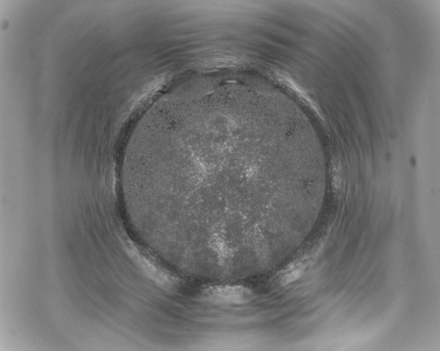 X0000070410637200606161412