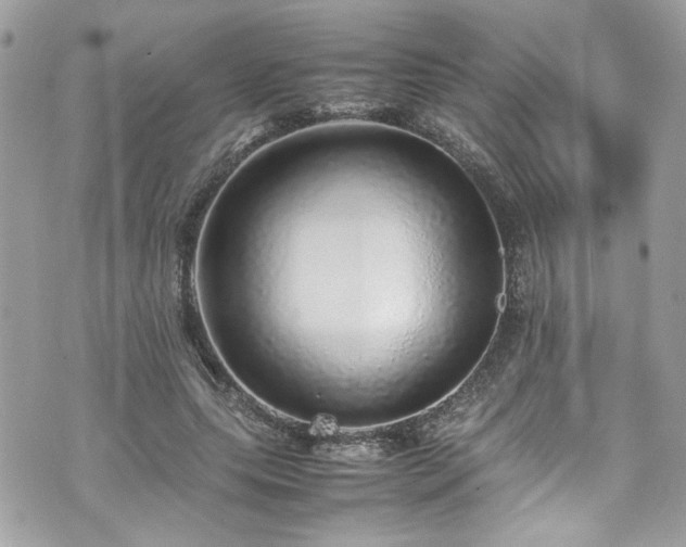 X0000070410639200606161412