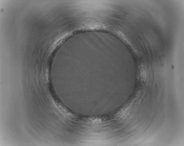 X0000070410640200606161412