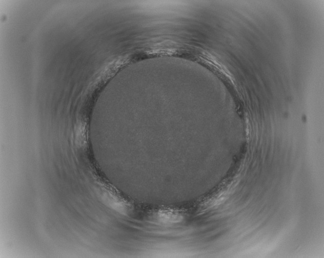 X0000070410641200606161412