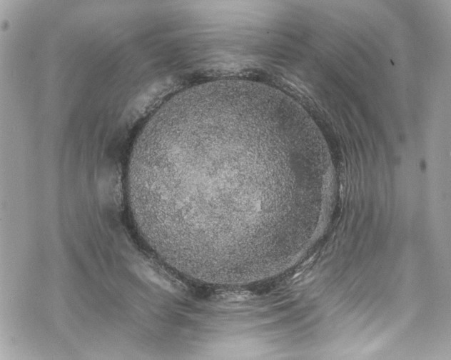 X0000070410642200606161412