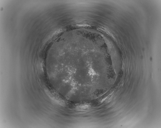 X0000070410643200606161412