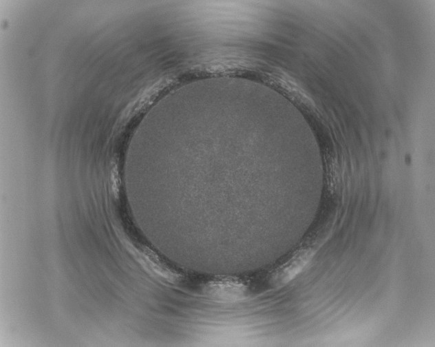 X0000070410644200606161412