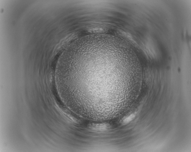 X0000070410645200606161412