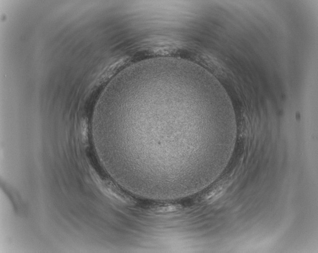 X0000070410646200606161412