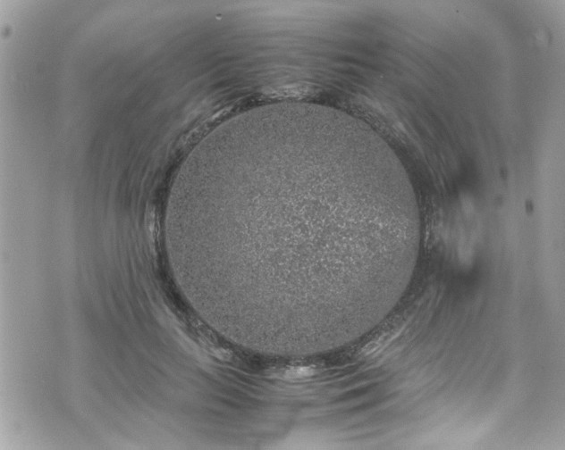 X0000070410647200606161412