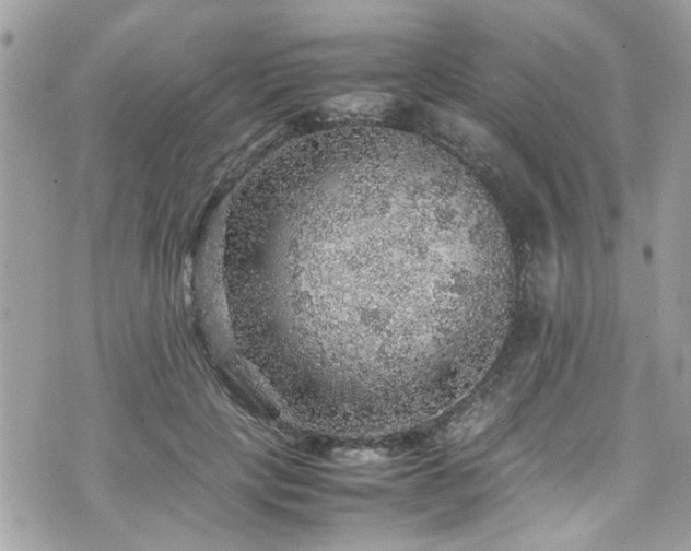 X0000070410649200606161412