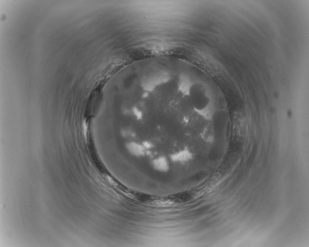 X0000070410650200606161412