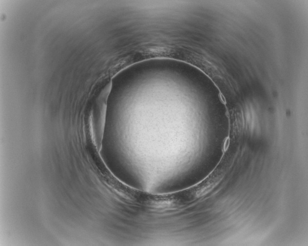 X0000070410651200606161412