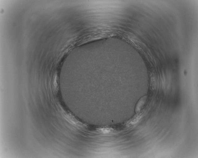 X0000070410654200606161412