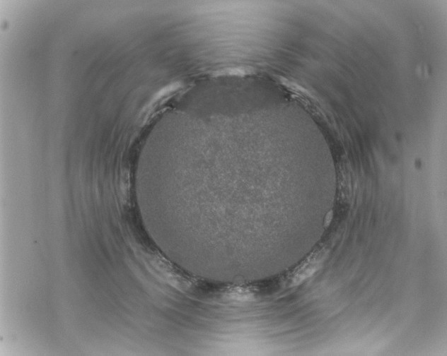 X0000070410656200606161412