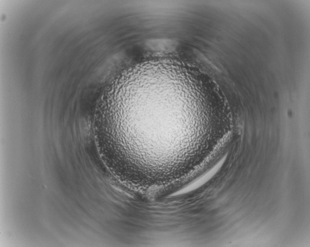 X0000070410657200606161412