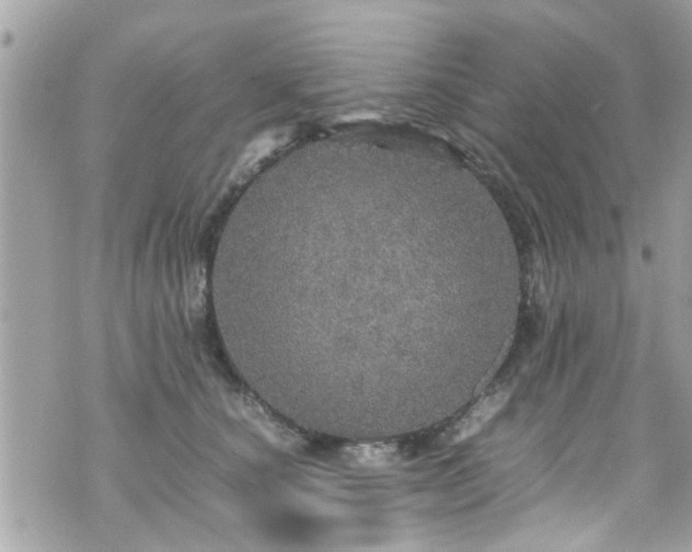 X0000070410660200606161412