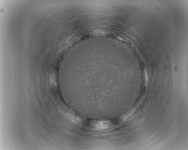 X0000070410663200606161412