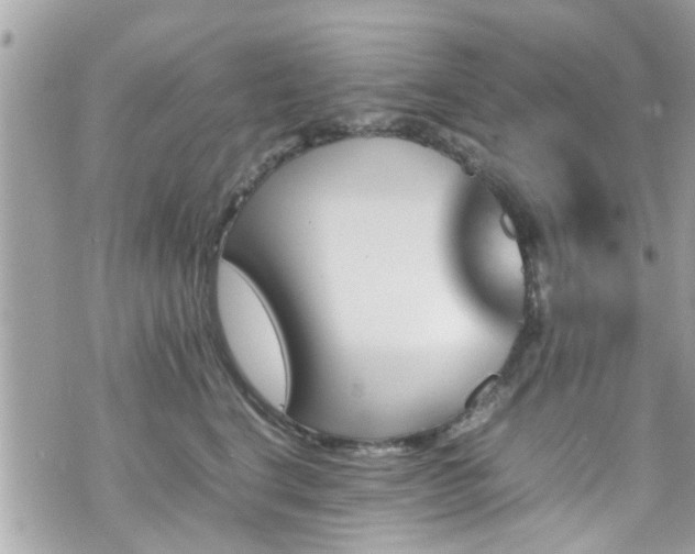 X0000070410664200606161412