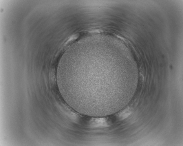 X0000070410665200606161412