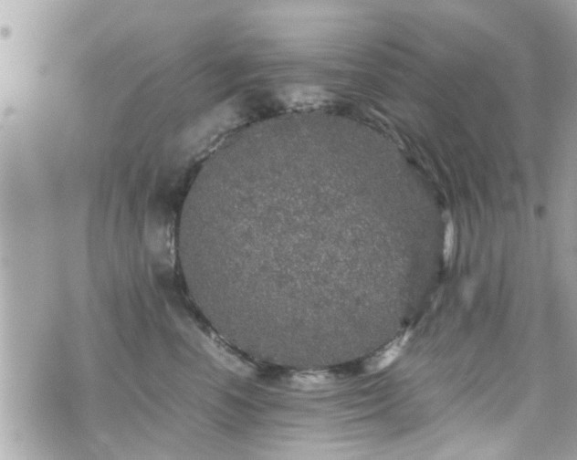 X0000070410666200606161412