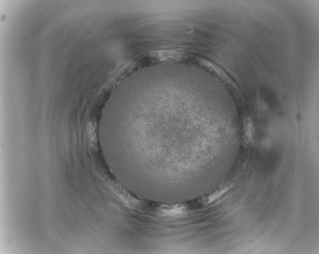 X0000070410667200606161412