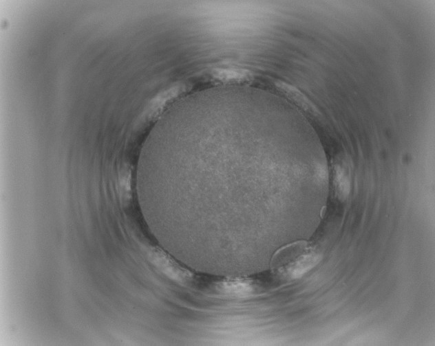 X0000070410668200606161412