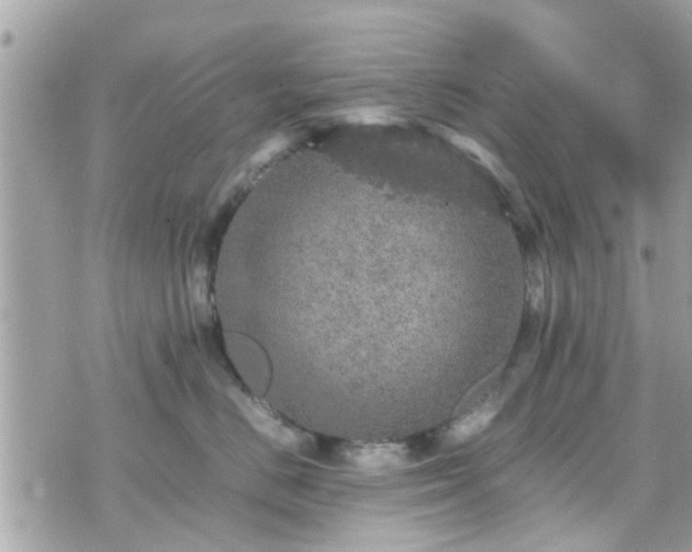 X0000070410670200606161412