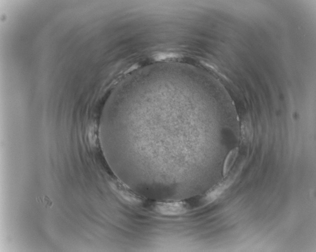 X0000070410671200606161412