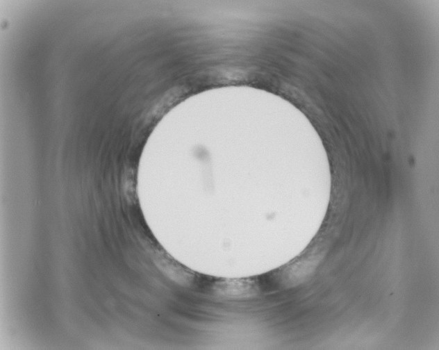 X0000070410672200606161412