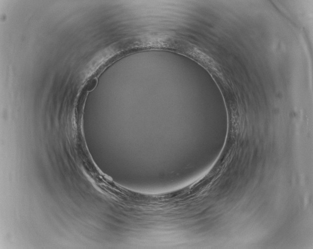 X0000070410674200606161412