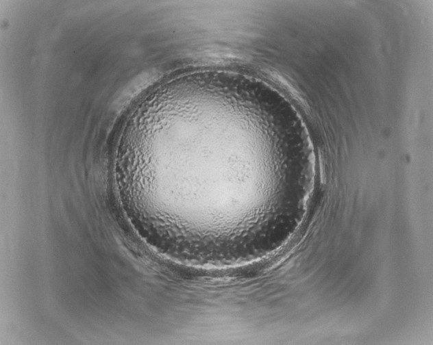 X0000070410675200606161412