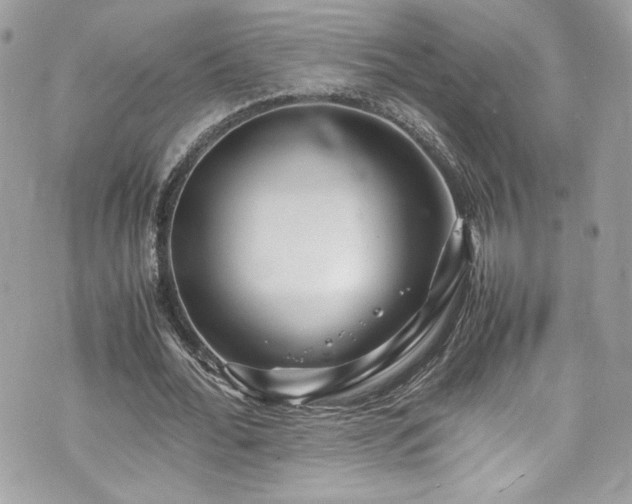 X0000070410676200606161412