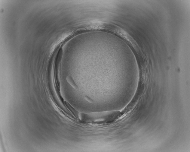 X0000070410677200606161412