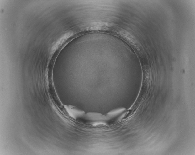 X0000070410678200606161412