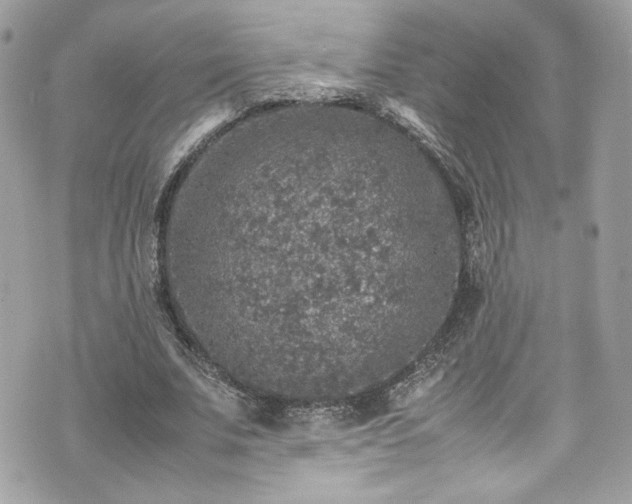 X0000070410679200606161412