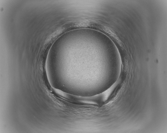 X0000070410681200606161412