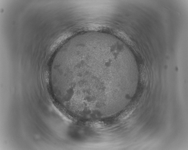 X0000070410683200606161412