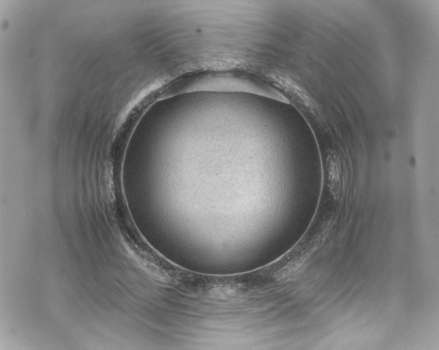 X0000070410684200606161412