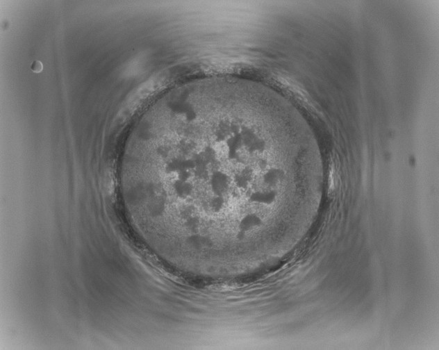 X0000070410687200606161411