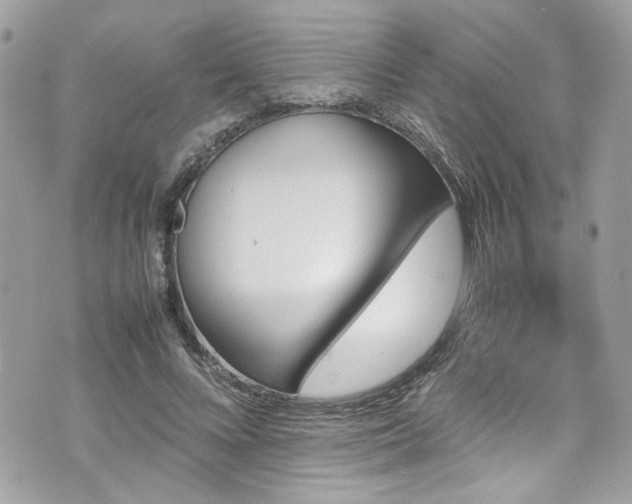 X0000070410688200606161411