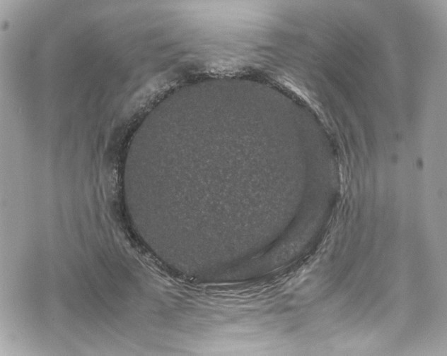 X0000070410689200606161411