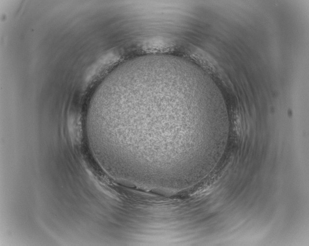 X0000070410690200606161411