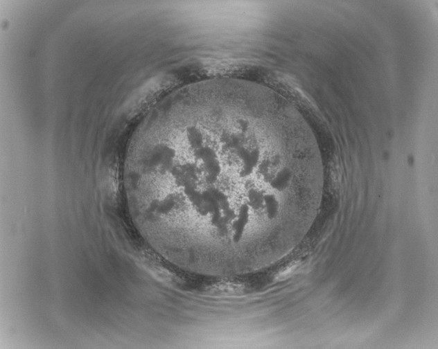 X0000070410691200606161411