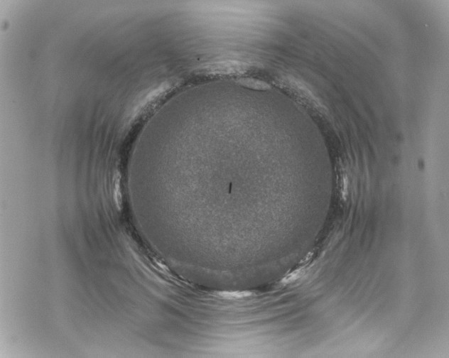 X0000070410692200606161411