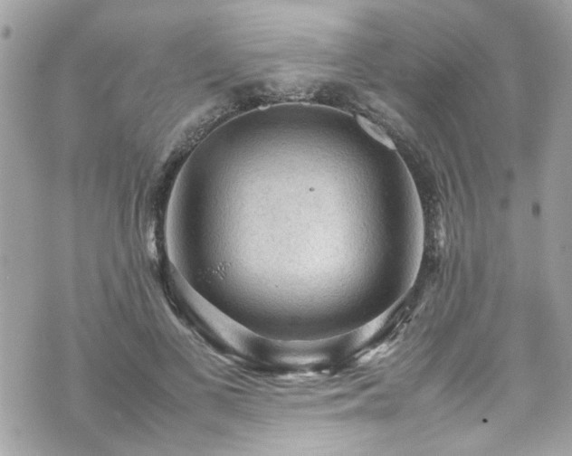 X0000070410693200606161411