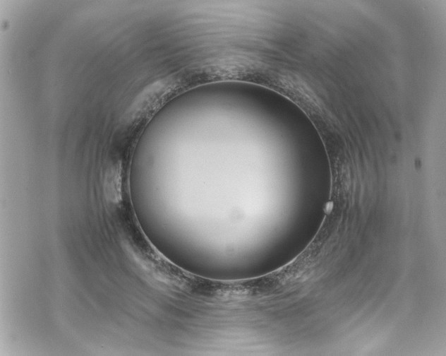 X0000070410694200606161411