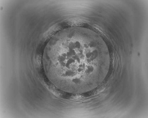 X0000070410695200606161411