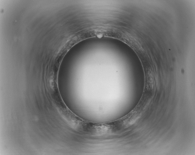 X0000070410698200606161411