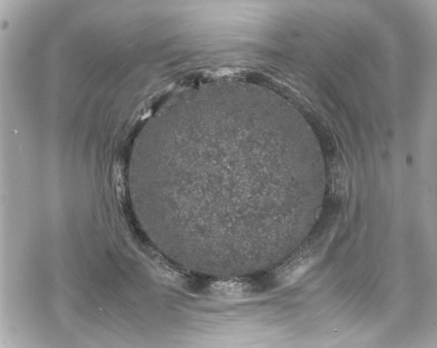 X0000070410699200606161411