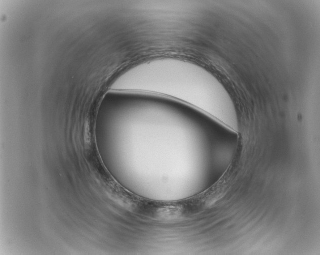 X0000070410700200606161411